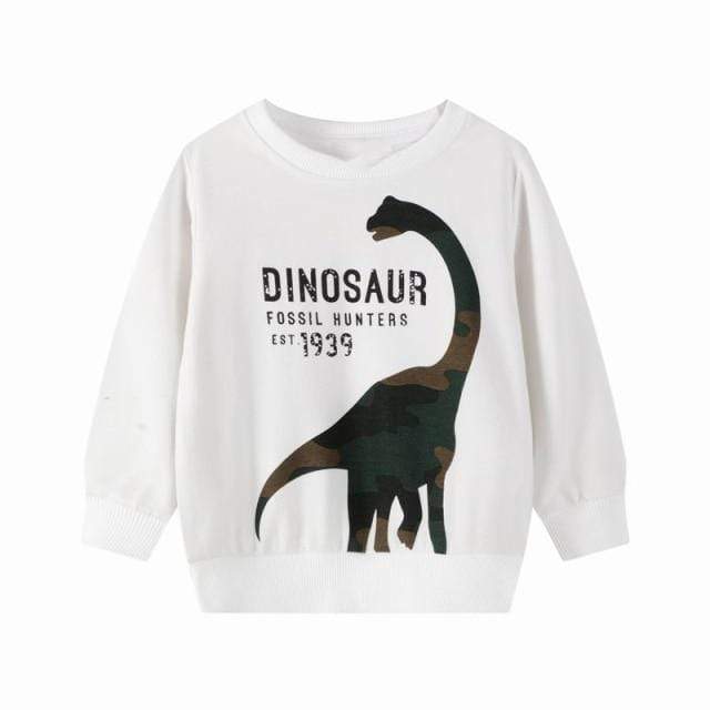 Boys Dinosaur Sweatshirt